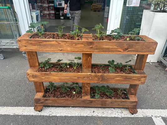 Palet Macetero R�stico vac�o Artesanal